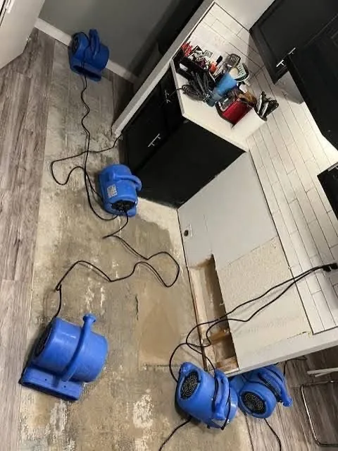 Four blue air movers drying a kitchen floor next to a cut-out section of cabinet toe-kick