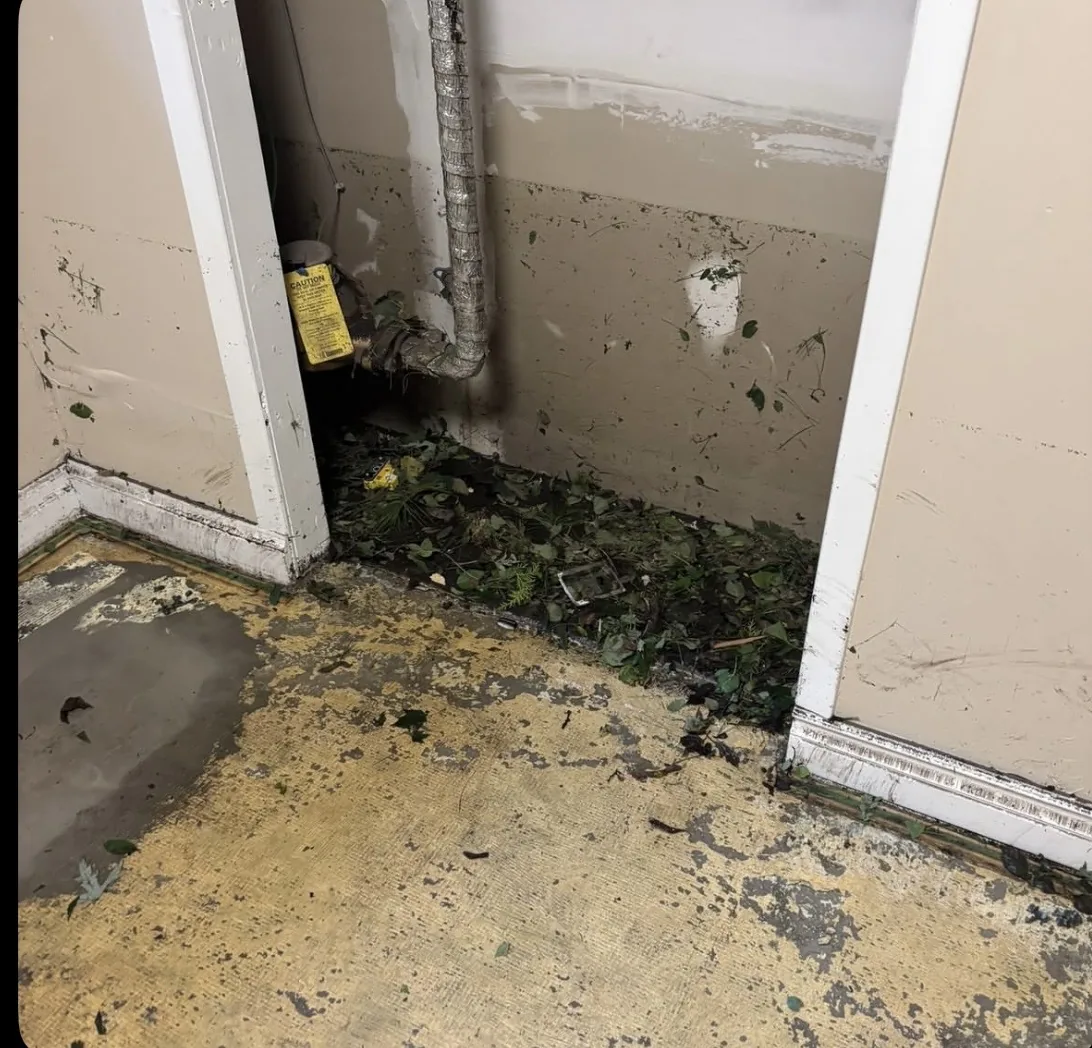 Utility closet with mud lines on the walls, leaves on the floor, and peeling floor coating after floodwater