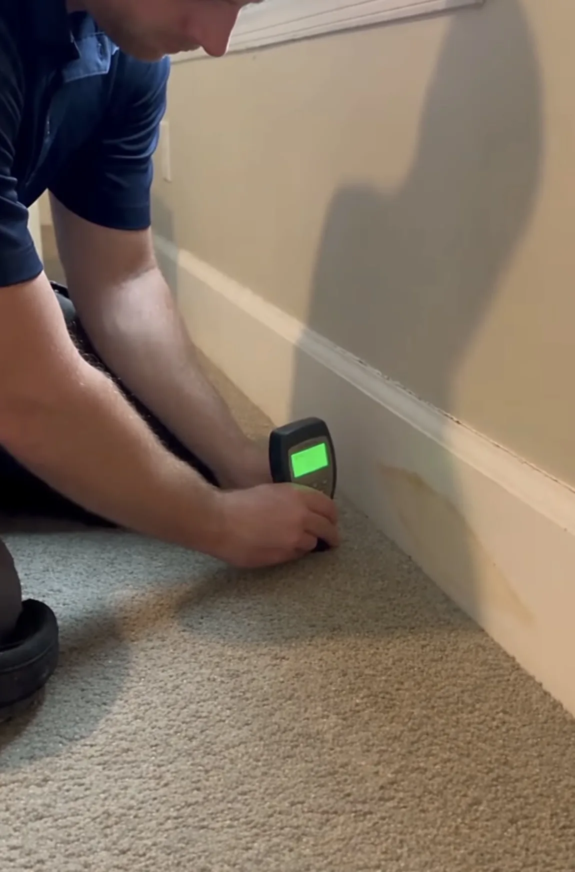 Technician pressing a moisture meter against carpet at the base of a stained wall